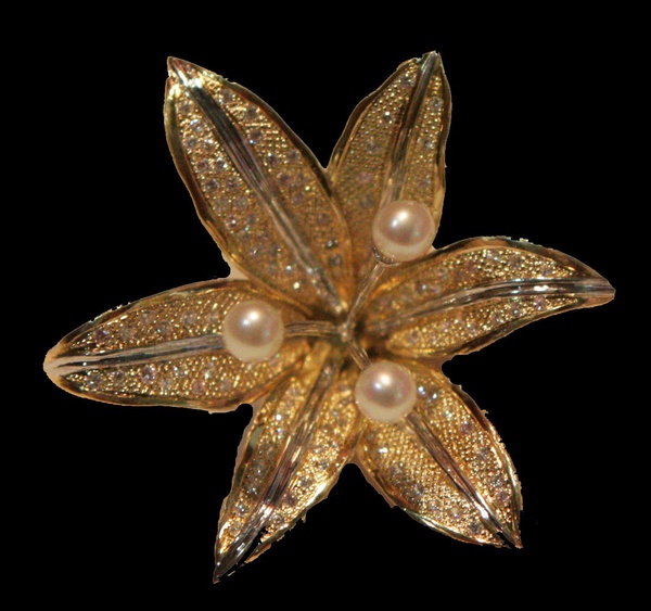 Azucenas de oro y brillantes (2007)
