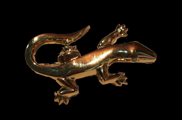 Salamanquesa en oro (2007)